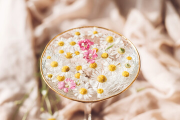 Wildflowers in water in stylish wine glass on background of soft beige fabric. Tender floral aesthetic. Creative summer image with space for text. Bohemian mood