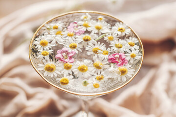 Tender floral aesthetic. Creative summer image with space for text. Bohemian mood. Wildflowers in water in stylish wine glass on background of soft beige fabric.