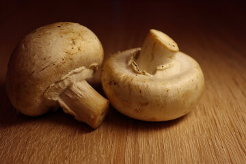 Two mushrooms on the wooden table. Close up view. Dark background.