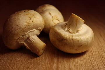Three mushrooms on the wooden table. Close up view. Dark background.