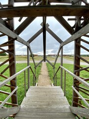 wooden bridge in the forest