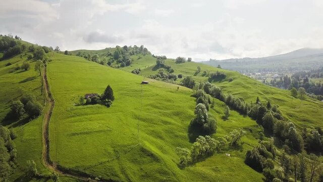 Aerial view of green hills and Carpathian mountains covered with evergreen spruce pine forest on summer sunny day.
