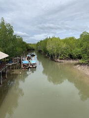 Fototapeta na wymiar Port d'une mangrove à Koh Lanta, Thaïlande