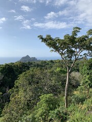 Obraz premium Paysage de montagne et jungle à Ko Phi Phi, Thaïlande