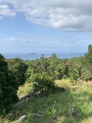 Paysage de montagne et jungle à Ko Phi Phi, Thaïlande