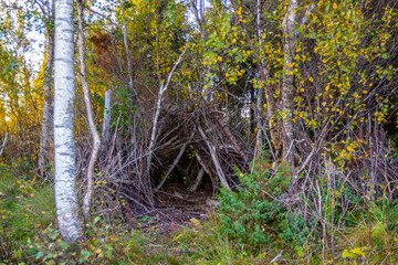 A hovel made of branches in the forest.