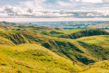 Countryside near Woodville, North Island, New Zealand