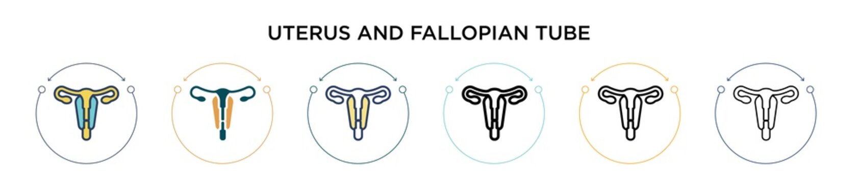 Uterus and fallopian tube icon in filled, thin line, outline and stroke style. Vector illustration of two colored and black uterus and fallopian tube vector icons designs can be used for mobile, ui,