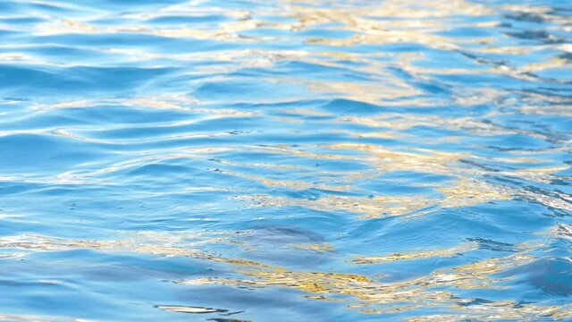 Brunette young girl emerges in the pool