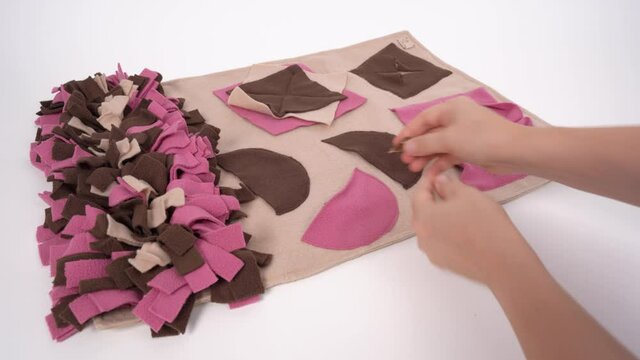 Handler stows dried delicious healthy dog treats in secret pockets on soft washable textile training snuffle mat for nose work. Intellectual games with pet.