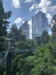 Pont suspendu d'un parc à Kuala Lumpur, Malaisie