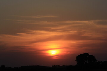 Colorful Sunset with tree Silhouettes and clouds out in the country in Kansas.