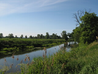 Fototapeta na wymiar Rural landscape with Motlawa river near Wroblewo village in northern Poland - blue sky, river and green grass