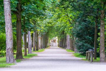 Fototapeta na wymiar Frau läuft entlang einer Allee im Hofgarten Bayreuth. Tageslicht und grüne Blätter. 24.07.20 Bayreuth, Deutschland