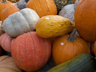 Pumpkins