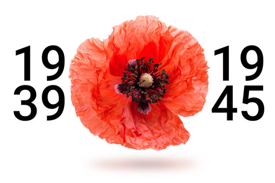 Remembrance poppy and lest we forget the concept banner. Anzac day also known as Armistice day.