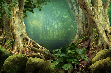 Fairy tale forest landscape with old trees and roots