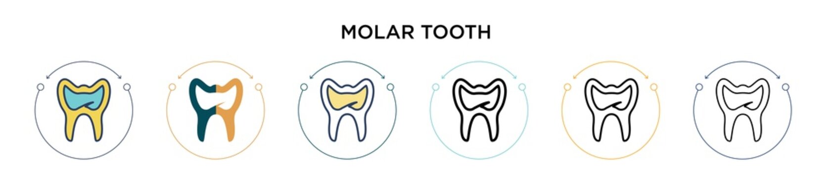 Molar tooth icon in filled, thin line, outline and stroke style. Vector illustration of two colored and black molar tooth vector icons designs can be used for mobile, ui, web