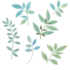 Watercolor illustrations. Botanical clipart. A set of green leaves, and branches. Floral design elements. Perfect for wedding invitations, cards, wallpapers, print, print, blogs.