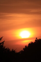 Sunset over a farm field with tree's in Kansas.