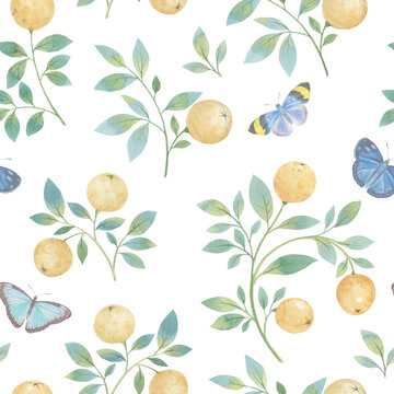 Orange tropical fresh fruits hand draw watercolor illustration. Seamless botanical pattern with oranges and butterflies on a white background.