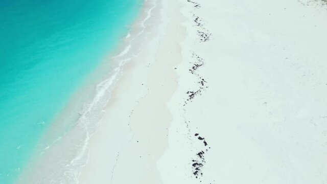 The Treasure Of Abaco Beach Cay Bahamas