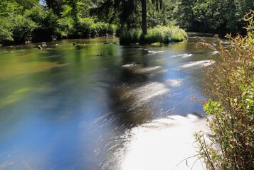 Fototapeta na wymiar A stream at Milham park in Kalamazoo Michigan 