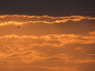Fototapeta premium clouds at sunset