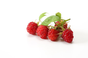 摘みたてのラズベリー