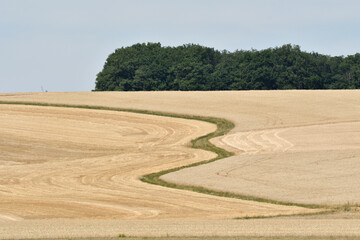 sommerlandschaft