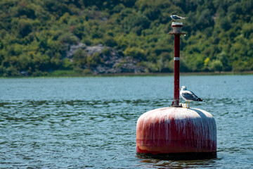 rendezvous on the lake