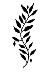 Foliage decorative black element on the white isolated background. Clipart illustration.