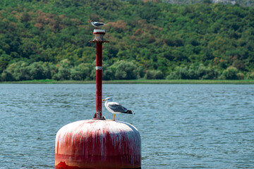 rendezvous on the lake