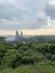 Forêt et gratte-ciels à Singapour