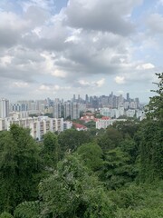 Forêt et paysage urbain à Singapour