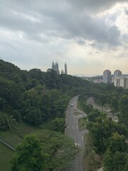 Avenue dans la forêt à Singapour