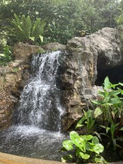 Chute d'eau du jardin botanique de Singapour