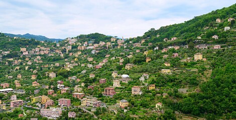 Obraz premium View at houses on the hill near Camogli