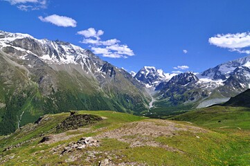 Fototapeta na wymiar Swiss Alps on a sunny day