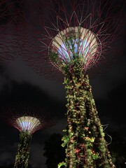 Arbre artificiel lumineux des jardins de la Baie à Singapour