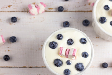 Ice cream background in cups. Two servings of ice cream. Fresh ice cream for dessert. Blueberries...