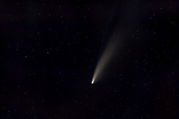 Obraz na płótnie Canvas Comet NEOWISE in starry night