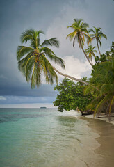 Fototapeta na wymiar One of uninhabited islands of archipelago San Blas, Panama