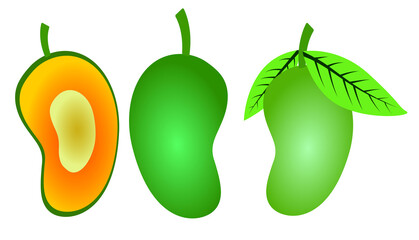 vector ripe mango