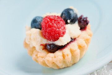 Delicious dessert blueberry mini tart with fresh berries and whipped cream. French cuisine. Berry pie with cream and icing sugar. Closeup. Shallow DOF