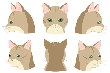 顔アップネコ　シンガプーラ(線無し)