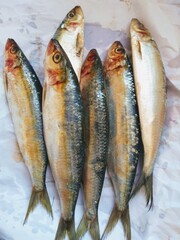 raw fish background