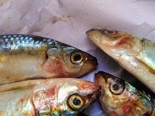 fish on the market