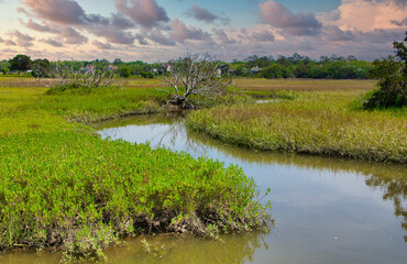 A river running through a salt water wetland marsh at high tide