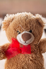 teddy bear in a red hat